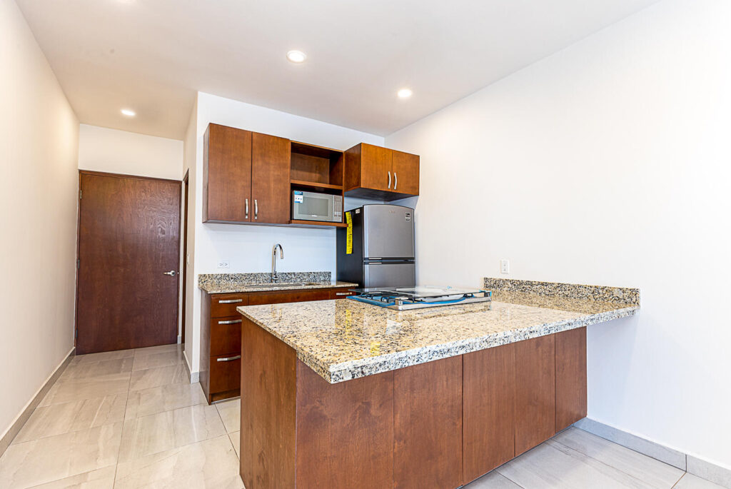 Los Cabos Vista Mare Forever Medano Bay for sale